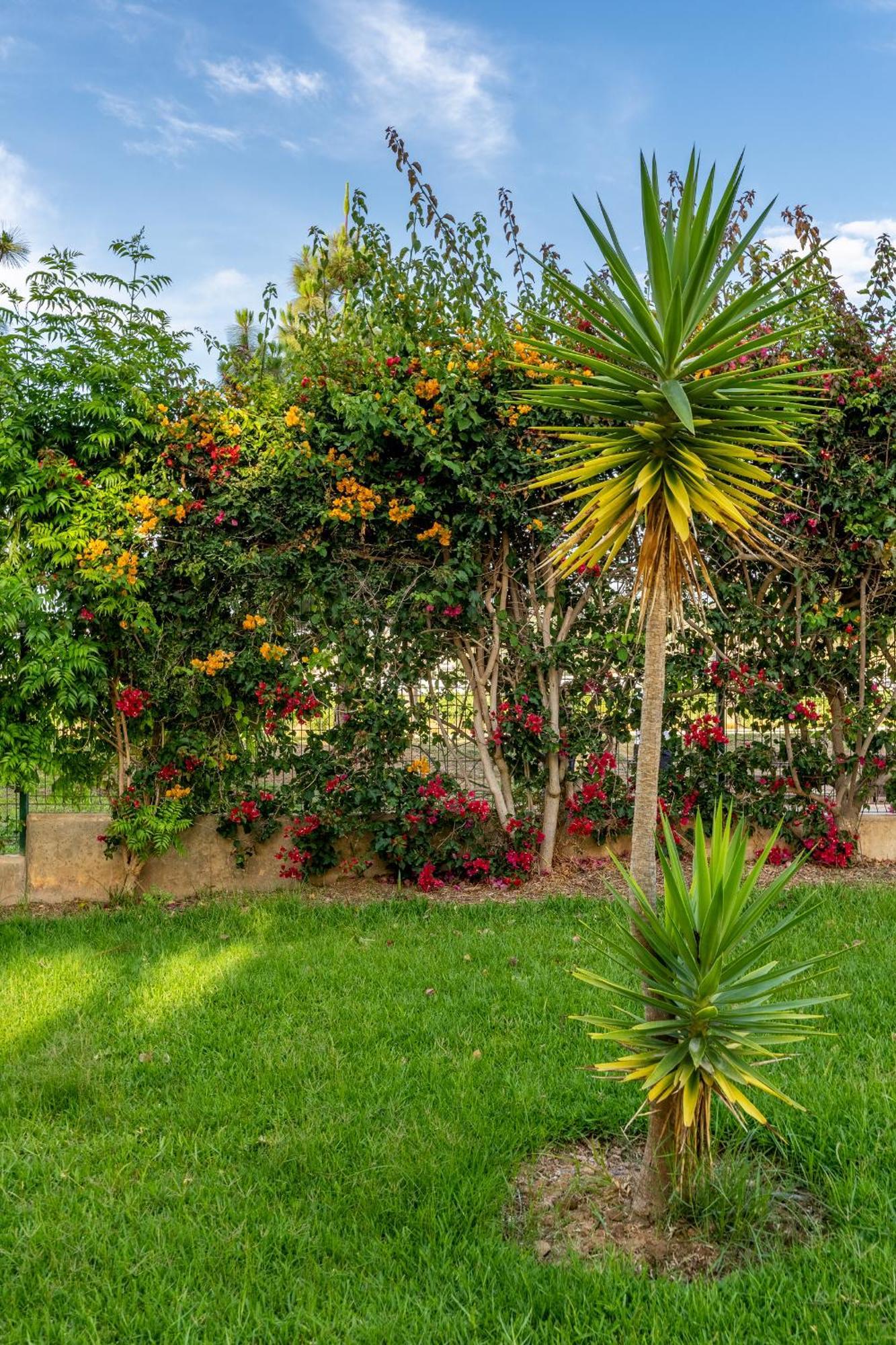 Bonito Apartamento En La Playa Con Piscina Torrenueva  Exteriör bild